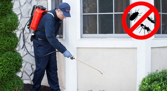 Köprüköy Karınca İlaçlama böcek ilaçlama ve haşere kontrolü — ilaclama-tr.com